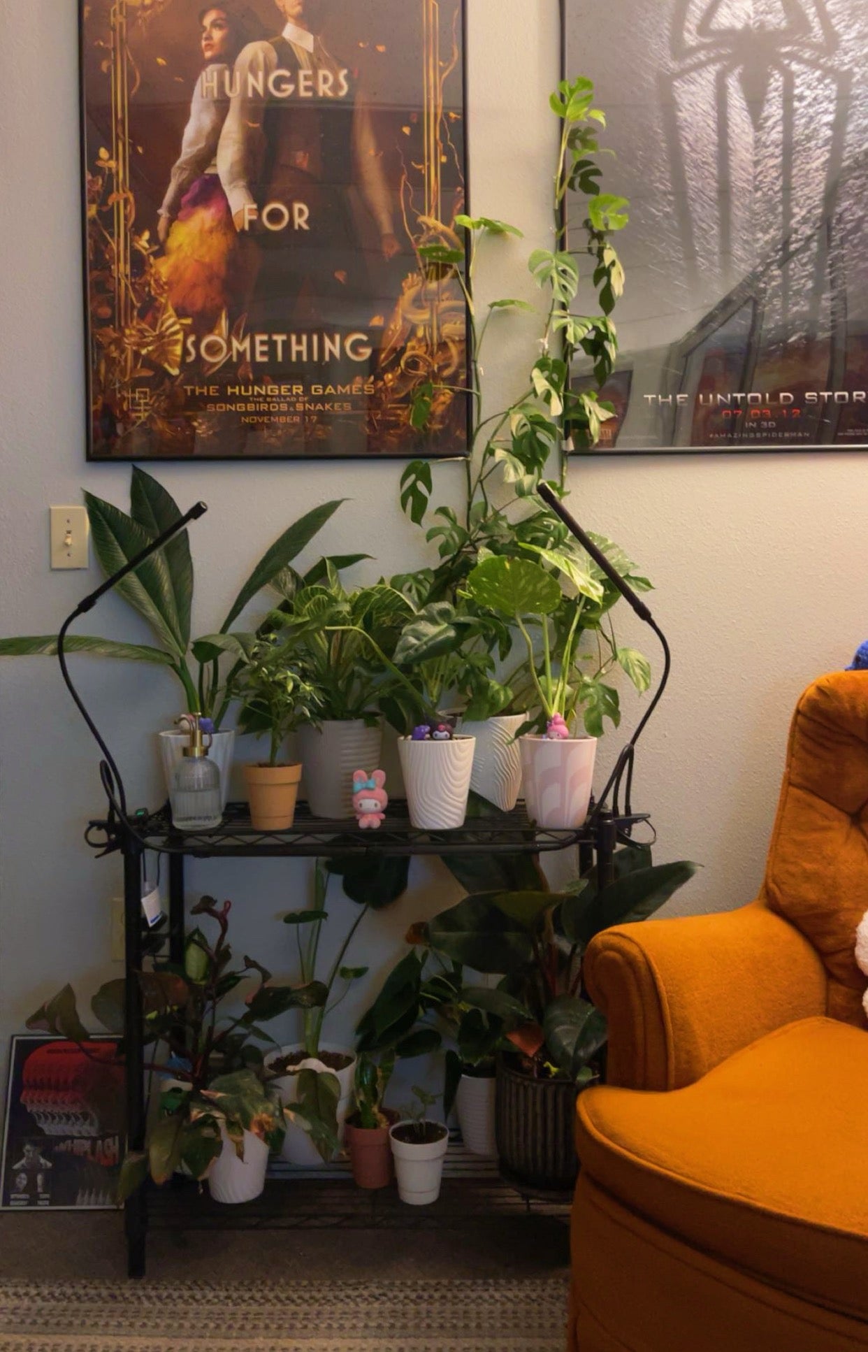 Plant Watering & Garden Support