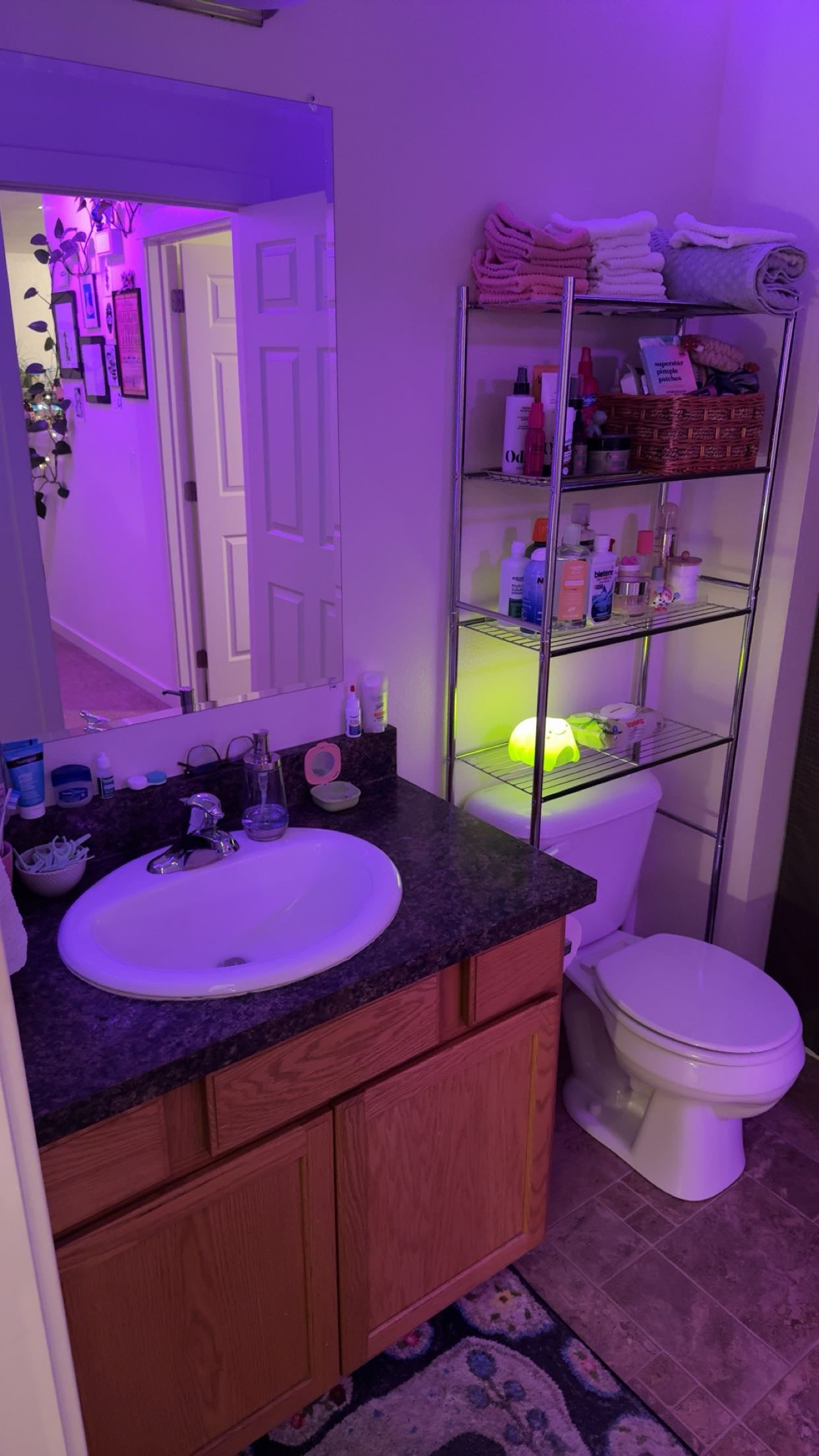 House/Apartment Cleaning Service